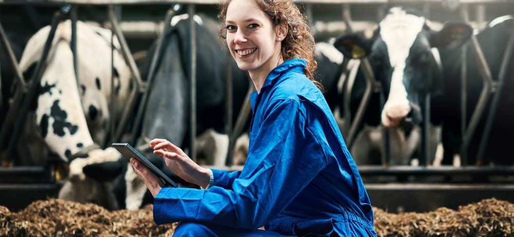 Veehouder met tablet in een melkveestal — illustratie bij de Zoom-uitrol voor de leden van LTO Noord.