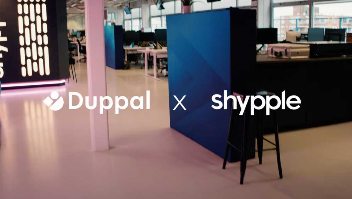 Duppal x Shypple — co-branded muurinstallatie in het kantoor van Shypple in Rotterdam.